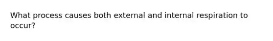 What process causes both external and internal respiration to occur?