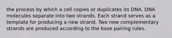 the process by which a cell copies or duplicates its DNA. DNA molecules separate into two strands. Each strand serves as a template for producing a new strand. Two new complementary strands are produced according to the base pairing rules.