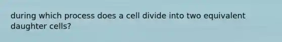 during which process does a cell divide into two equivalent daughter cells?