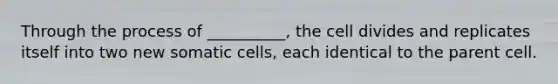 Through the process of __________, the cell divides and replicates itself into two new somatic cells, each identical to the parent cell.