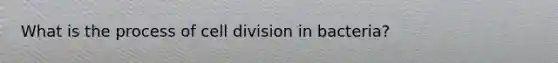 What is the process of cell division in bacteria?