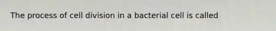 The process of cell division in a bacterial cell is called