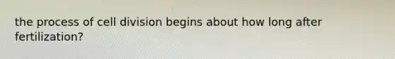 the process of cell division begins about how long after fertilization?