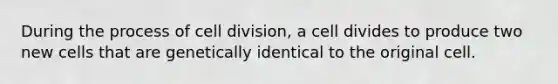 During the process of cell division, a cell divides to produce two new cells that are genetically identical to the original cell.