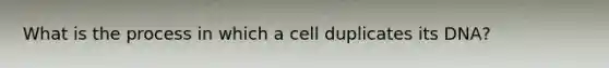 What is the process in which a cell duplicates its DNA?