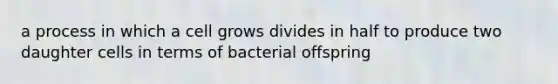 a process in which a cell grows divides in half to produce two daughter cells in terms of bacterial offspring