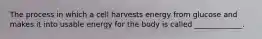 The process in which a cell harvests energy from glucose and makes it into usable energy for the body is called _____________.