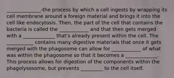 ______________-the process by which a cell ingests by wrapping its cell membrane around a foreign material and brings it into the cell like endocytosis. Then, the part of the cell that contains the bacteria is called the ____________ and that then gets merged with a _____________ that's already present within the cell. The ___________ contains many digestive materials that once it gets merged with the phagosome can allow for ____________ of what was within the phagosome so that it becomes a _____________. This process allows for digestion of the components within the phagolysosome, but prevents _________ to the cell itself.