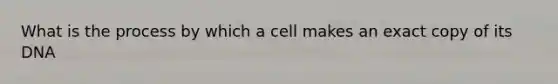 What is the process by which a cell makes an exact copy of its DNA