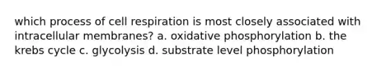 which process of cell respiration is most closely associated with intracellular membranes? a. oxidative phosphorylation b. the krebs cycle c. glycolysis d. substrate level phosphorylation