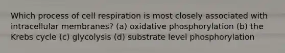 Which process of cell respiration is most closely associated with intracellular membranes? (a) oxidative phosphorylation (b) the Krebs cycle (c) glycolysis (d) substrate level phosphorylation