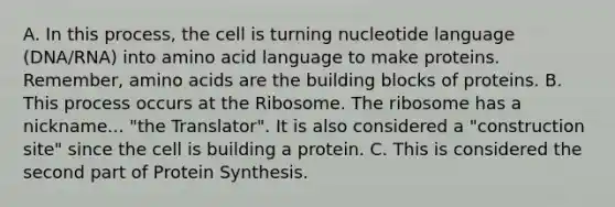 A. In this process, the cell is turning nucleotide language (DNA/RNA) into amino acid language to make proteins. Remember, amino acids are the building blocks of proteins. B. This process occurs at the Ribosome. The ribosome has a nickname... "the Translator". It is also considered a "construction site" since the cell is building a protein. C. This is considered the second part of Protein Synthesis.