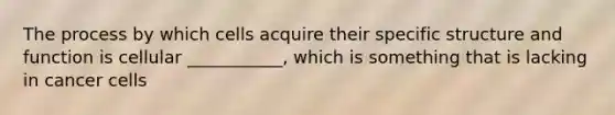 The process by which cells acquire their specific structure and function is cellular ___________, which is something that is lacking in cancer cells