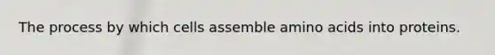The process by which cells assemble amino acids into proteins.