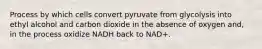 Process by which cells convert pyruvate from glycolysis into ethyl alcohol and carbon dioxide in the absence of oxygen and, in the process oxidize NADH back to NAD+.