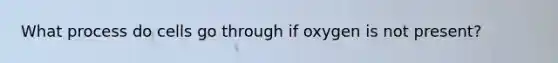 What process do cells go through if oxygen is not present?