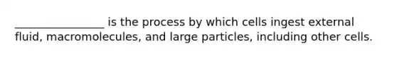 ________________ is the process by which cells ingest external fluid, macromolecules, and large particles, including other cells.