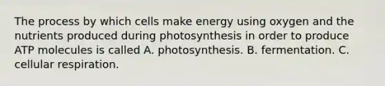 The process by which cells make energy using oxygen and the nutrients produced during photosynthesis in order to produce ATP molecules is called A. photosynthesis. B. fermentation. C. <a href='https://www.questionai.com/knowledge/k1IqNYBAJw-cellular-respiration' class='anchor-knowledge'>cellular respiration</a>.