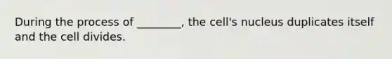 During the process of ________, the cell's nucleus duplicates itself and the cell divides.