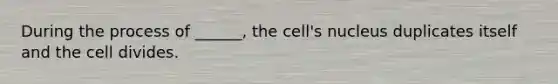 During the process of ______, the cell's nucleus duplicates itself and the cell divides.