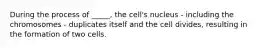 During the process of _____, the cell's nucleus - including the chromosomes - duplicates itself and the cell divides, resulting in the formation of two cells.