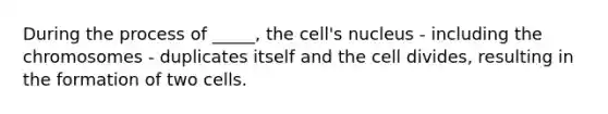 During the process of _____, the cell's nucleus - including the chromosomes - duplicates itself and the cell divides, resulting in the formation of two cells.