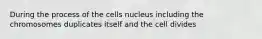 During the process of the cells nucleus including the chromosomes duplicates itself and the cell divides