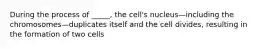 During the process of _____, the cell's nucleus—including the chromosomes—duplicates itself and the cell divides, resulting in the formation of two cells