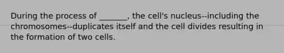 During the process of _______, the cell's nucleus--including the chromosomes--duplicates itself and the cell divides resulting in the formation of two cells.