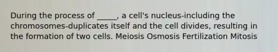 During the process of _____, a cell's nucleus-including the chromosomes-duplicates itself and the cell divides, resulting in the formation of two cells. Meiosis Osmosis Fertilization Mitosis