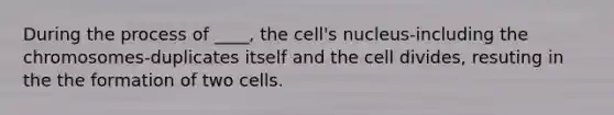 During the process of ____, the cell's nucleus-including the chromosomes-duplicates itself and the cell divides, resuting in the the formation of two cells.