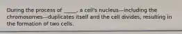 During the process of _____, a cell's nucleus—including the chromosomes—duplicates itself and the cell divides, resulting in the formation of two cells.