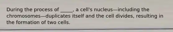 During the process of _____, a cell's nucleus—including the chromosomes—duplicates itself and the cell divides, resulting in the formation of two cells.