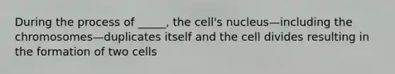 During the process of _____, the cell's nucleus—including the chromosomes—duplicates itself and the cell divides resulting in the formation of two cells