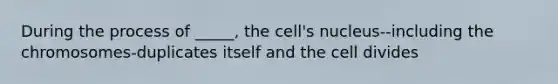 During the process of _____, the cell's nucleus--including the chromosomes-duplicates itself and the cell divides