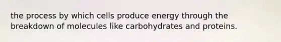 the process by which cells produce energy through the breakdown of molecules like carbohydrates and proteins.