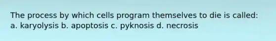 The process by which cells program themselves to die is called: a. karyolysis b. apoptosis c. pyknosis d. necrosis