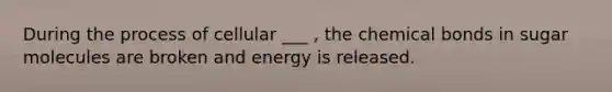 During the process of cellular ___ , the chemical bonds in sugar molecules are broken and energy is released.