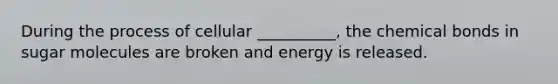 During the process of cellular __________, the chemical bonds in sugar molecules are broken and energy is released.