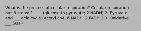 What is the process of cellular respiration? Cellular respiration has 3 steps: 1. ___ (glucose to pyruvate; 2 NADH) 2. Pyruvate ___ and ___ acid cycle (Acetyl coA, 6 NADH, 2 FADH 2 3. Oxidative ___ (ATP)