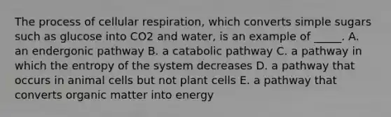 The process of cellular respiration, which converts simple sugars such as glucose into CO2 and water, is an example of _____. A. an endergonic pathway B. a catabolic pathway C. a pathway in which the entropy of the system decreases D. a pathway that occurs in animal cells but not plant cells E. a pathway that converts organic matter into energy