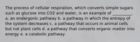 The process of <a href='https://www.questionai.com/knowledge/k1IqNYBAJw-cellular-respiration' class='anchor-knowledge'>cellular respiration</a>, which converts simple sugars such as glucose into CO2 and water, is an example of __________. a. an endergonic pathway b. a pathway in which the entropy of the system decreases c. a pathway that occurs in animal cells but not plant cells d. a pathway that converts organic matter into energy e. a catabolic pathway