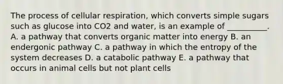 The process of cellular respiration, which converts simple sugars such as glucose into CO2 and water, is an example of __________. A. a pathway that converts organic matter into energy B. an endergonic pathway C. a pathway in which the entropy of the system decreases D. a catabolic pathway E. a pathway that occurs in animal cells but not plant cells