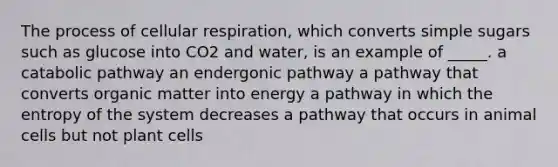 The process of <a href='https://www.questionai.com/knowledge/k1IqNYBAJw-cellular-respiration' class='anchor-knowledge'>cellular respiration</a>, which converts simple sugars such as glucose into CO2 and water, is an example of _____. a catabolic pathway an endergonic pathway a pathway that converts organic matter into energy a pathway in which the entropy of the system decreases a pathway that occurs in animal cells but not plant cells