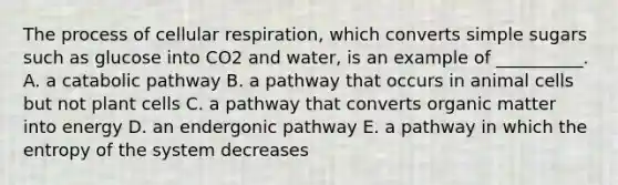 The process of cellular respiration, which converts simple sugars such as glucose into CO2 and water, is an example of __________. A. a catabolic pathway B. a pathway that occurs in animal cells but not plant cells C. a pathway that converts organic matter into energy D. an endergonic pathway E. a pathway in which the entropy of the system decreases