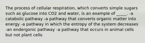 The process of <a href='https://www.questionai.com/knowledge/k1IqNYBAJw-cellular-respiration' class='anchor-knowledge'>cellular respiration</a>, which converts simple sugars such as glucose into CO2 and water, is an example of _____. -a catabolic pathway -a pathway that converts organic matter into energy -a pathway in which the entropy of the system decreases -an endergonic pathway -a pathway that occurs in animal cells but not plant cells