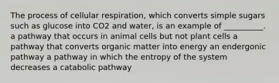 The process of cellular respiration, which converts simple sugars such as glucose into CO2 and water, is an example of __________. a pathway that occurs in animal cells but not plant cells a pathway that converts organic matter into energy an endergonic pathway a pathway in which the entropy of the system decreases a catabolic pathway