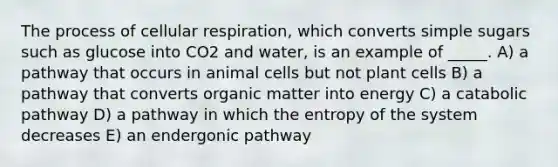 The process of cellular respiration, which converts simple sugars such as glucose into CO2 and water, is an example of _____. A) a pathway that occurs in animal cells but not plant cells B) a pathway that converts organic matter into energy C) a catabolic pathway D) a pathway in which the entropy of the system decreases E) an endergonic pathway