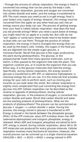 - Through the process of cellular respiration, the energy in food is converted into energy that can be used by the body's cells. - During cellular respiration, glucose and oxygen are converted into carbon dioxide and water, and the energy is transferred to ATP. The main reason you need to eat is to get energy. Food is your body's only supply of energy. However, this energy must be converted from the apple (or any other food you eat) into an energy source your body can use. The process of getting energy from your food is called cellular respiration. How does the food you eat provide energy? When you need a quick boost of energy, you might reach for an apple or a candy bar. But cells do not "eat" apples or candy bars; these foods need to be broken down so that cells can use them. Through the process of cellular respiration, the energy in food is changed into energy that can be used by the body's cells. Initially, the sugars in the food you eat are digested into the simple sugar glucose, a monosaccharide. Recall that glucose is the sugar produced by the plant during photosynthesis. The glucose, or the polysaccharide made from many glucose molecules, such as starch, is then passed to the organism that eats the plant. This organism could be you, or it could be the organism that you eat. Either way, it is the glucose molecules that hold the energy. Specifically, during cellular respiration, the energy stored in glucose is transferred to ATP. ATP, or adenosine triphosphate, is chemical energy the cell can use. It is the molecule that provides energy for your cells to perform work, such as moving your muscles as you walk down the street. But cellular respiration is slightly more complicated than just converting the energy from glucose into ATP. Cellular respiration can be described as the reverse or opposite of photosynthesis. During cellular respiration, glucose, in the presence of oxygen, is converted into carbon dioxide and water. Recall that carbon dioxide and water are the starting products of photosynthesis. What are the products of photosynthesis? The process can be summarized as: glucose + oxygen --> carbon dioxide + water. During this process, the energy stored in glucose is transferred to ATP. Energy is stored in the bonds between the phosphate groups (PO4-) of the ATP molecule. when ATP is broken down into ADP (adenosine diphosphate) and inorganic phosphate, energy is released. When ADP and inorganic phosphate are joined to form ATP, energy is stored. During cellular respiration, about 36 to 38 ATP molecules are produced for every glucose molecule. Cellular respiration involves many biochemical reactions. However, the overall process can be summed up in a single chemical equation: C6H12O6 + 6O2 --> 6CO2 + 6H2O + energy (stored in ATP)