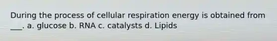 During the process of <a href='https://www.questionai.com/knowledge/k1IqNYBAJw-cellular-respiration' class='anchor-knowledge'>cellular respiration</a> energy is obtained from ___. a. glucose b. RNA c. catalysts d. Lipids